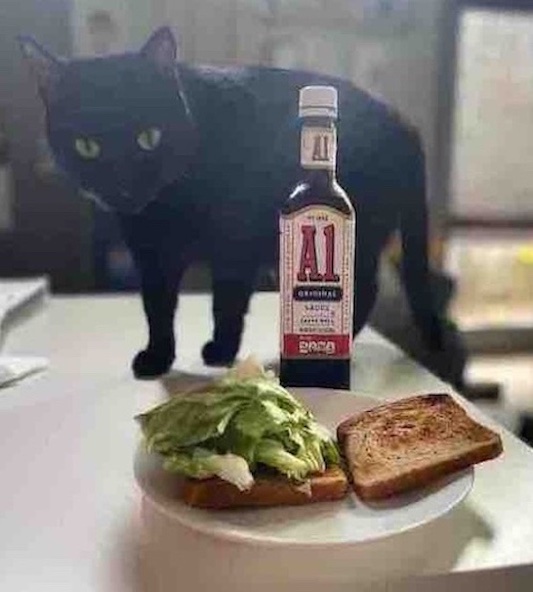 Rey sitting on the able enjoying a shrimp sandwich with A1 sauce