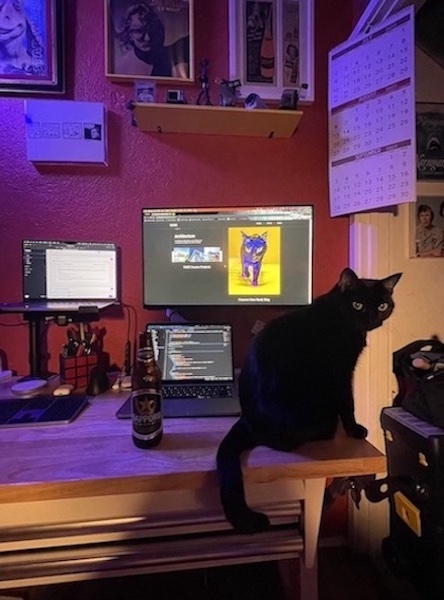 Rey sitting on desk looking at picture of herself as an amazing panther walking on the bed
