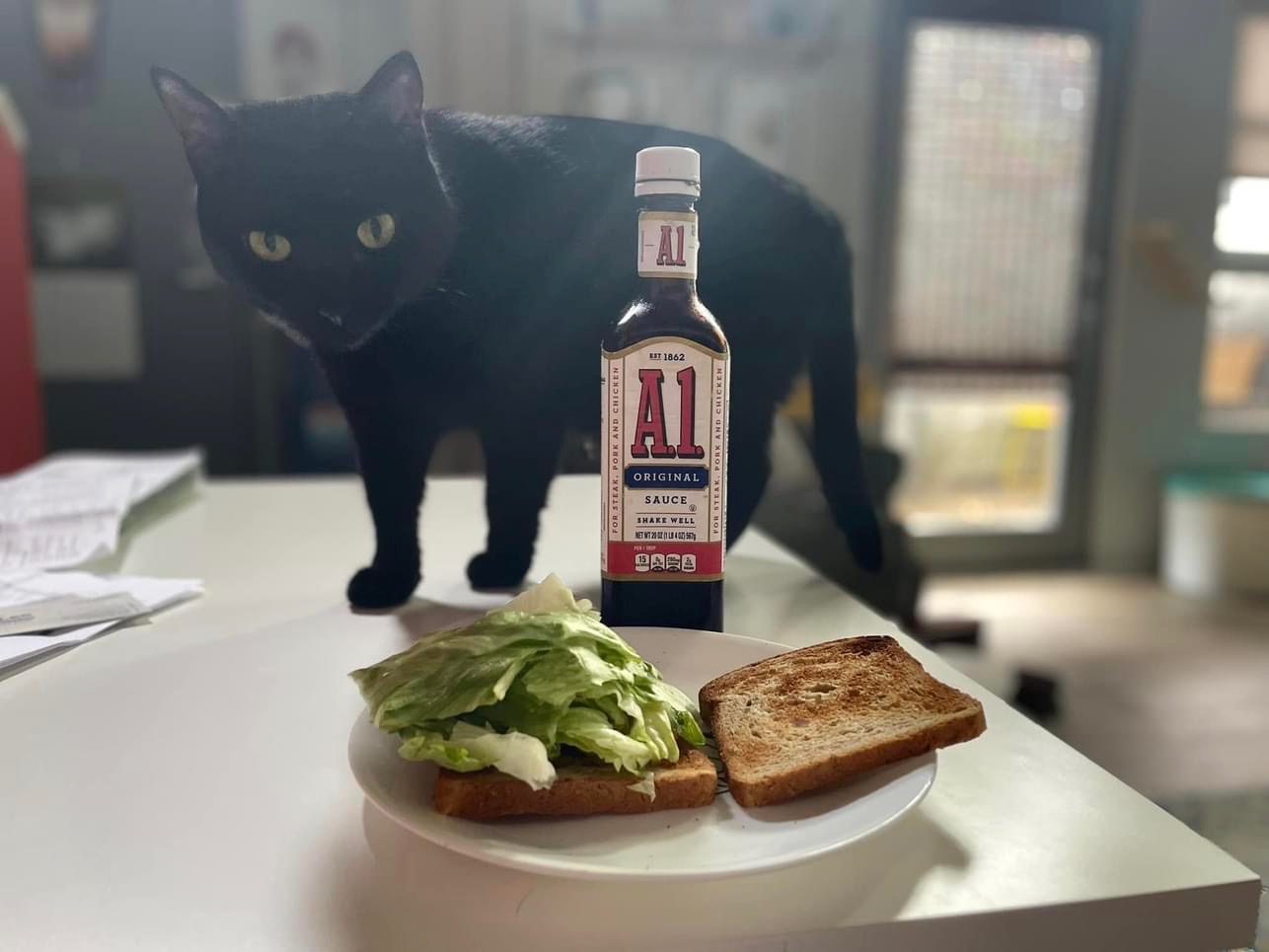 Rey Palpatine a rowdy cat enjoying a Big L sandwich