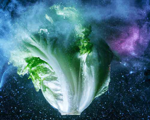Head of Iceberg lettuce floating in space